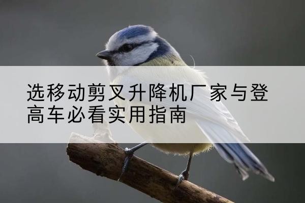偏关电动升降机厂家-选移动剪叉升降机厂家与登高车必看实用指南