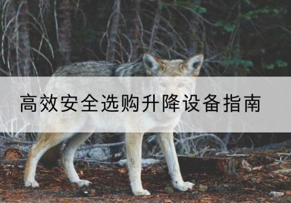 偏关升降货梯厂家推荐-*安全选购升降设备指南